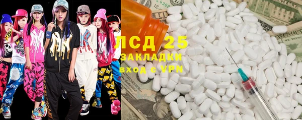 индика Алексеевка
