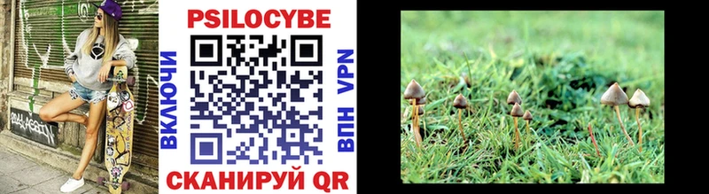Псилоцибиновые грибы MAGIC MUSHROOMS  Нарьян-Мар 