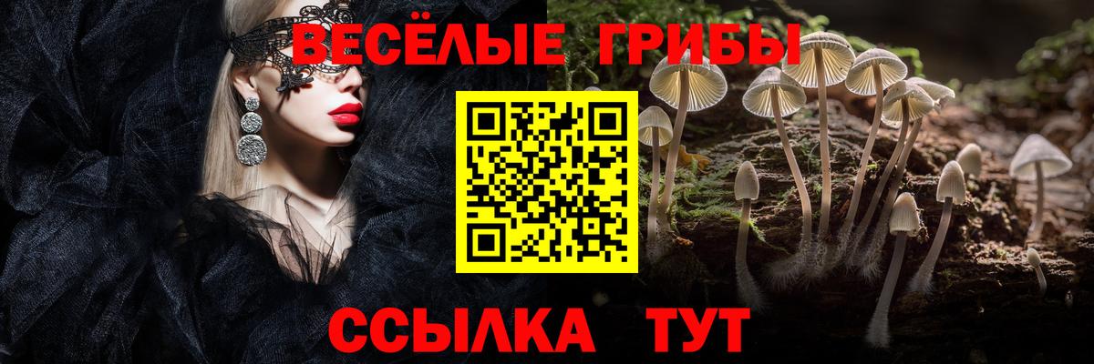 Псилоцибиновые грибы Magic Shrooms  Галлюциногенные грибы Magic Shrooms  где найти наркотики  Вход с VPN  Нарьян-Мар 